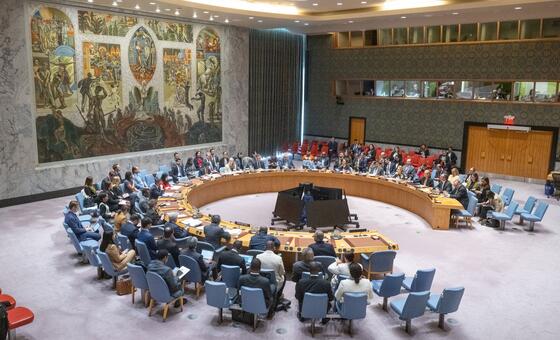 لقطة واسعة لاجتماع مجلس الأمن بشأن الوضع في هايتي.